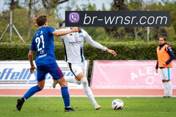 威尼斯人官网发展历程